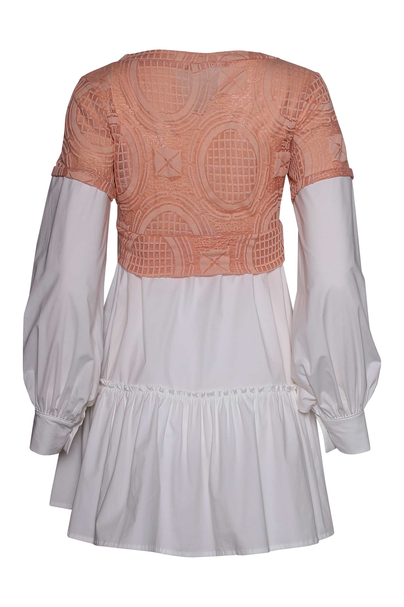 le2101543-salmon-b